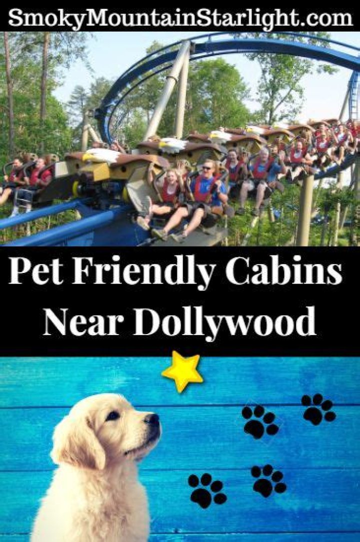 Are Dollywood Cabins pet friendly?