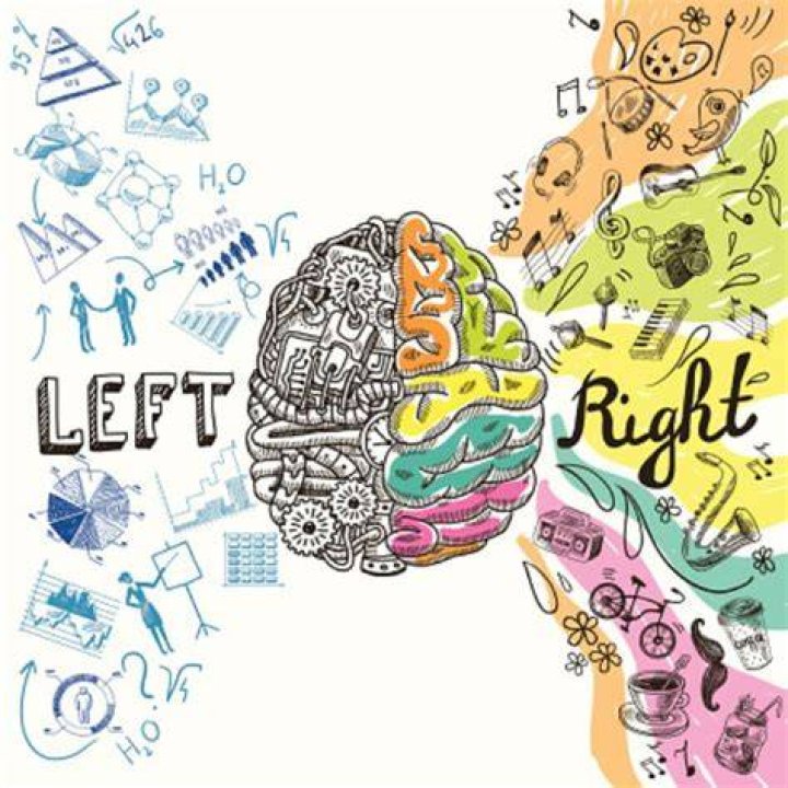 Are left handers more intelligent?