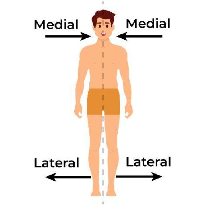 At does medial mean?