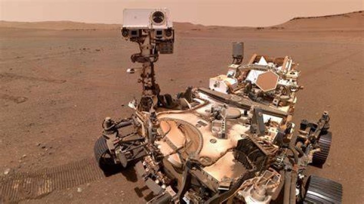 Can curiosity meet perseverance?