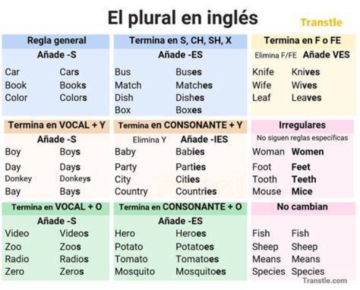 Can reg be plural?