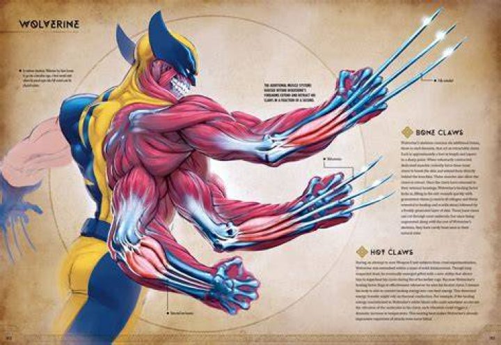 Can Wolverine get stronger?