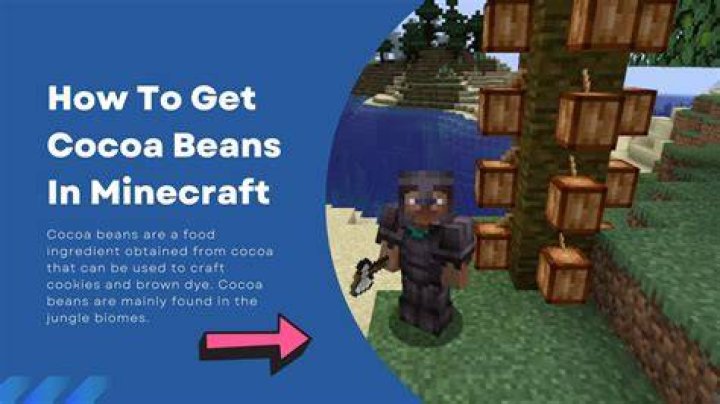 Do cocoa beans need light to grow Minecraft?