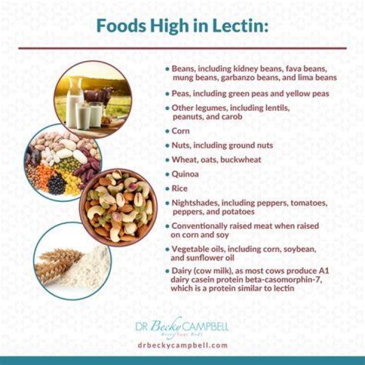 Do green beans have lectins?