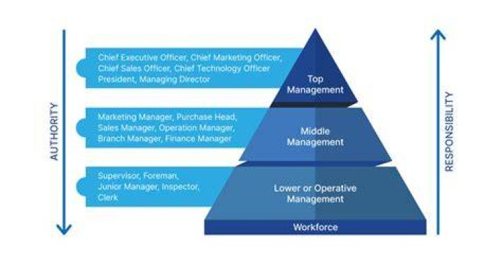 Do organization need managers?