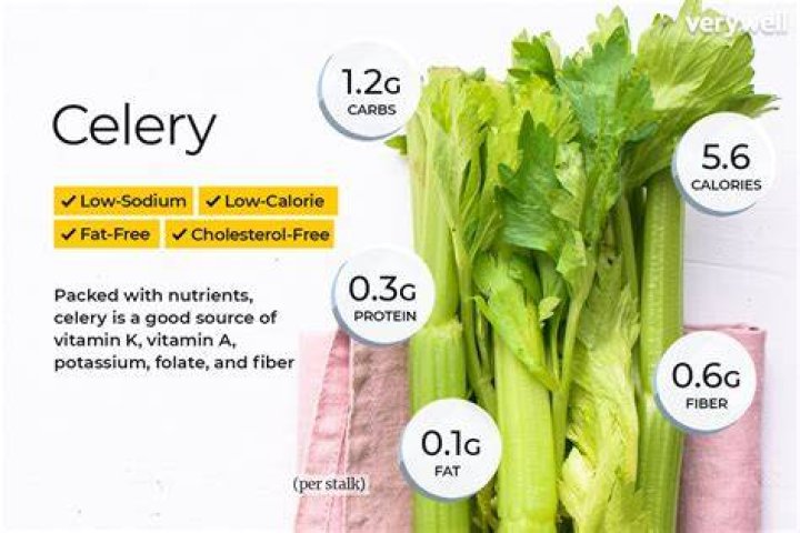 Does celery have fiber?