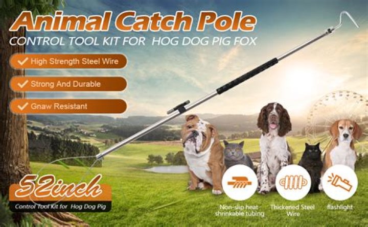 Does dog catcher mean?