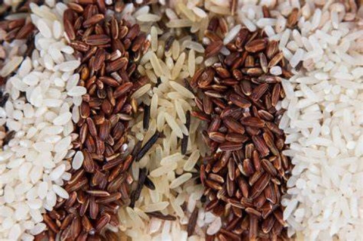 Does rice have lectins?