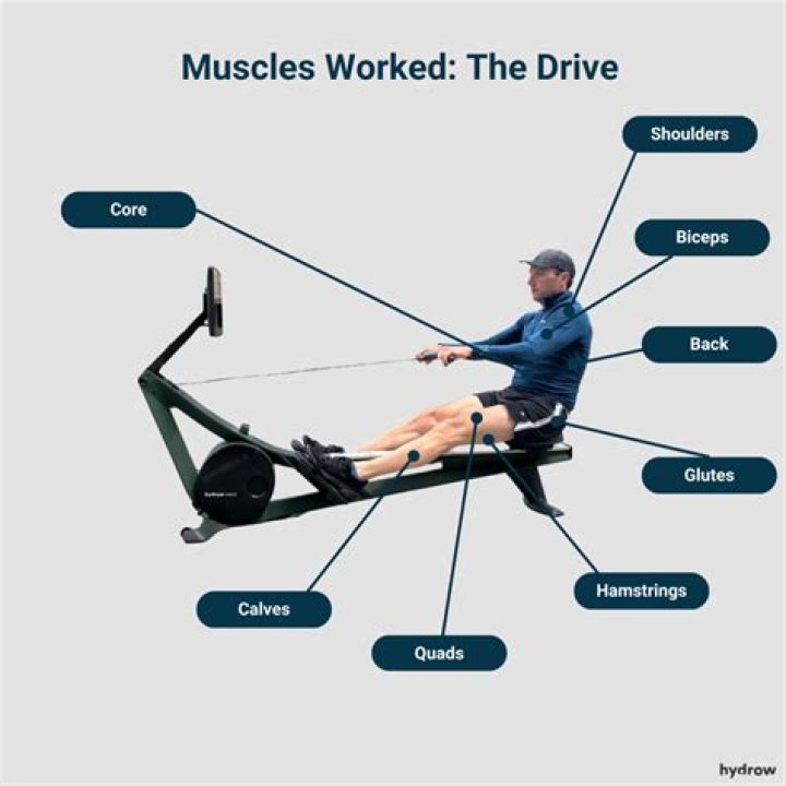 Does rowing work pecs?