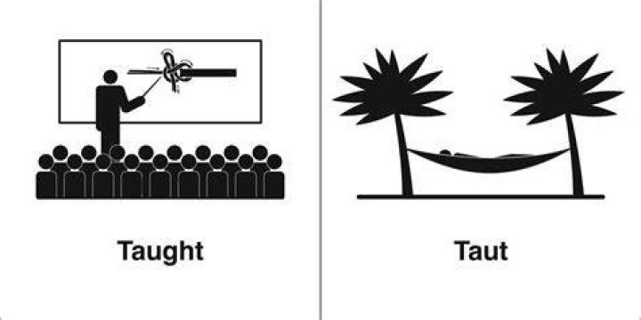 Does the word taut mean?