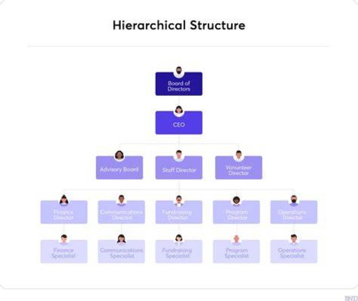 Has an organizational structure?