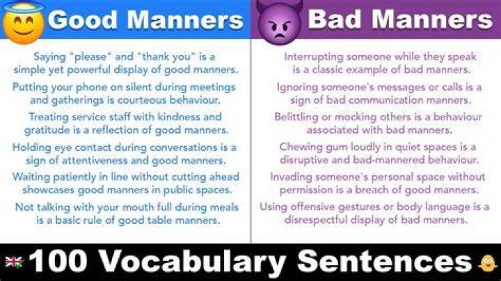 Has no manners definition?