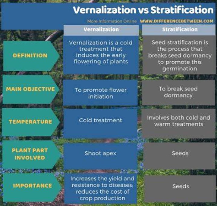 How does vernalization work?