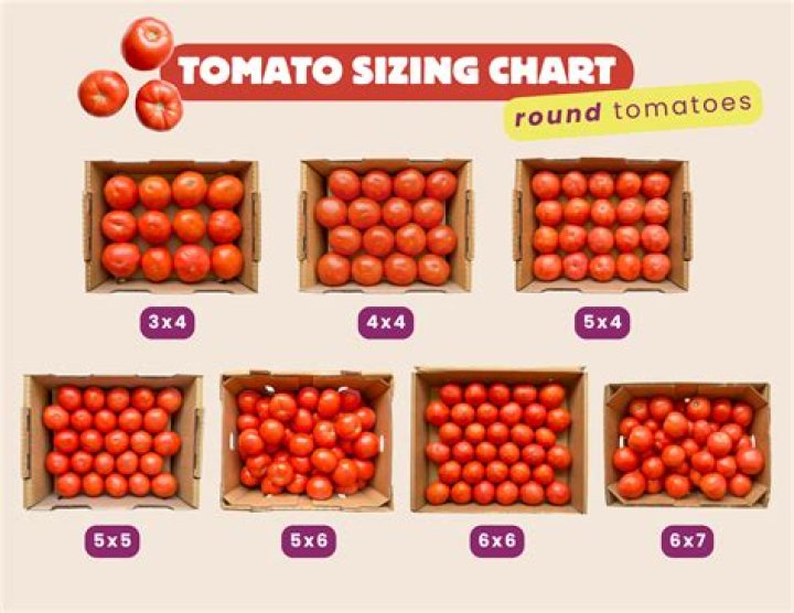 How many pounds is 4 tomatoes?