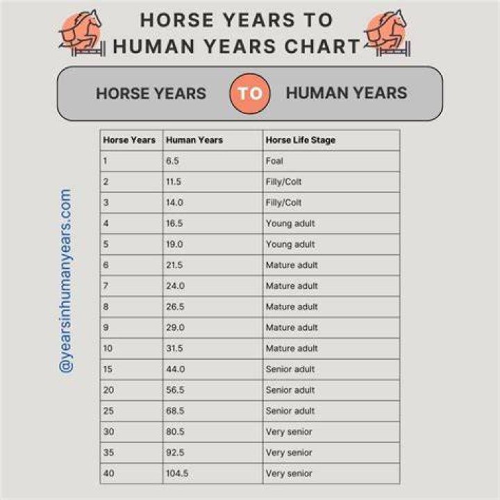 How old is horse?