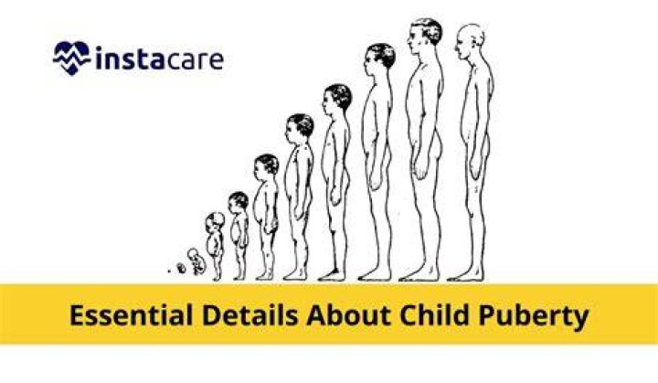 In puberty what changes?