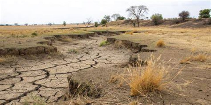 Is caused due to overgrazing?