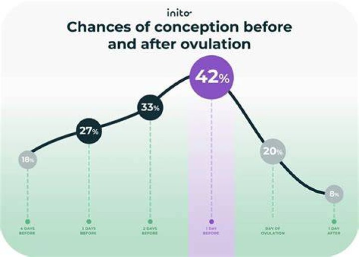 Is conceiving possible after ovulation?