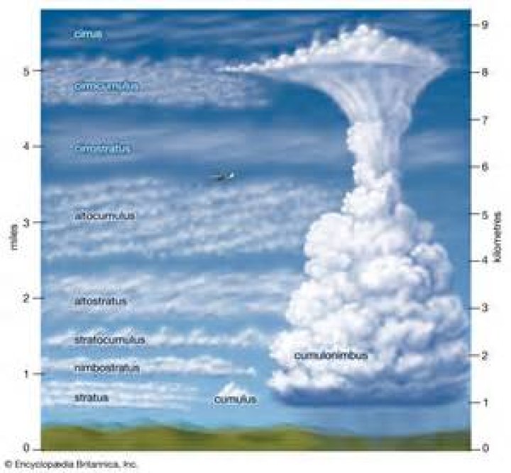 Is stratocumulus a cloud?