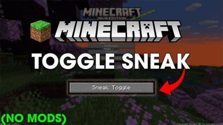 Is toggle sneak bannable on hypixel?