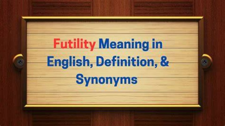 Was does futility mean?