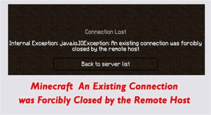 Was forcibly closed by the remote host minecraft?