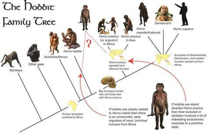 Was our common ancestor?