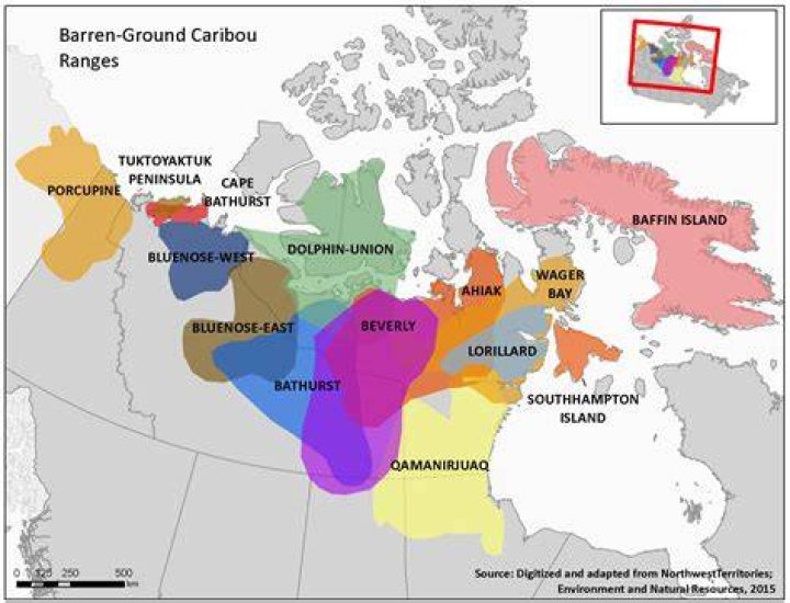 Were do caribous live?