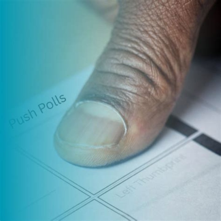 What are push polls designed for quizlet?