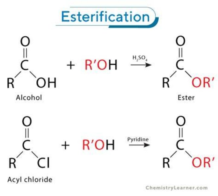 What do you mean by esterify?