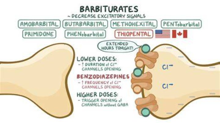 What does barbital do?
