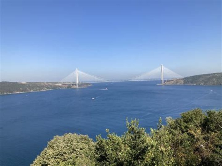 What does bosphorus mean?