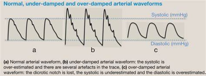 What does optimally mean in science?