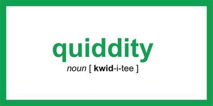 What does quiddity mean?
