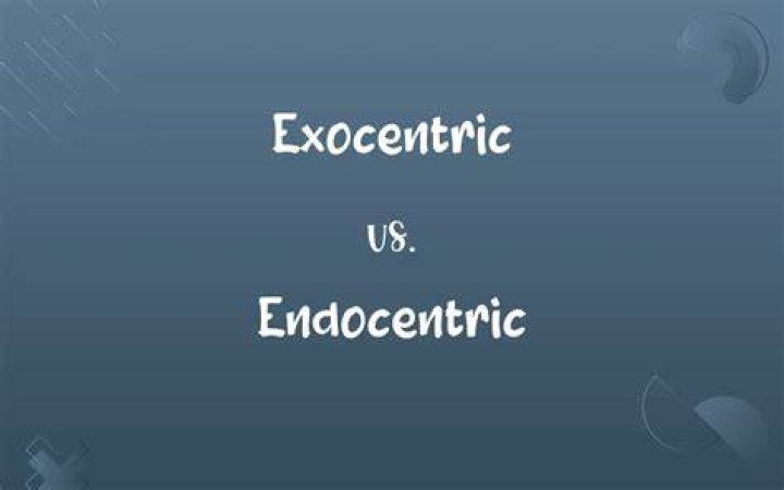 What is the difference between endocentric and exocentric compounds?