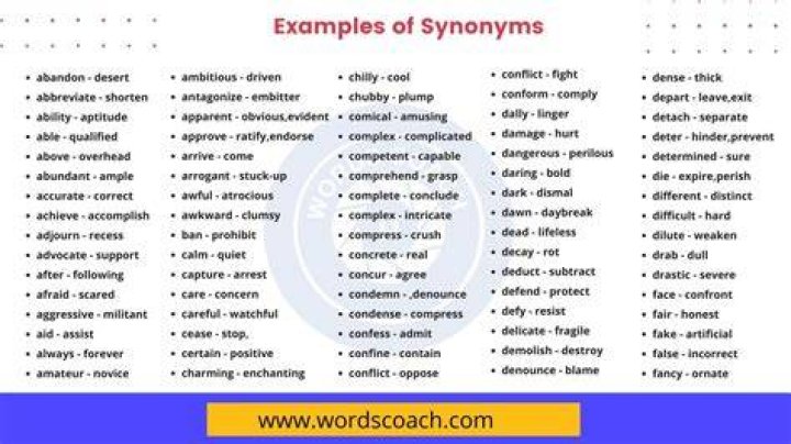 Whats a synonym for worrier?