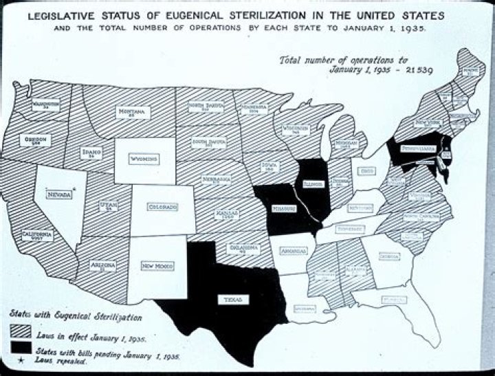 When did forced sterilizations start?