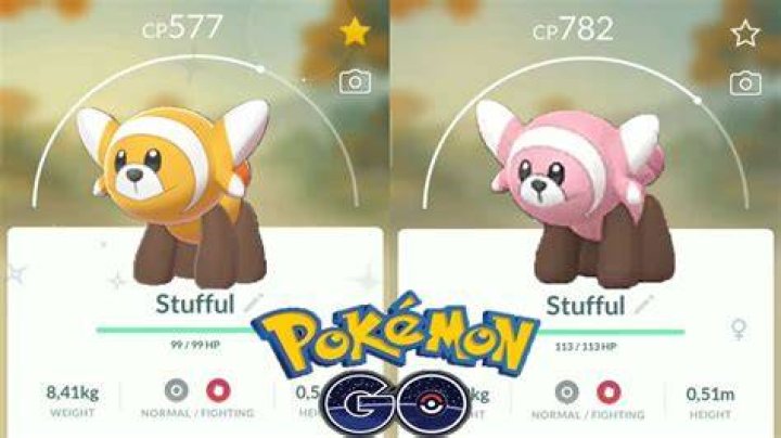 When does stuffle evolve?