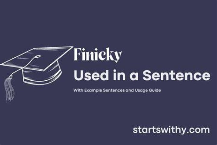 When to use finicky?