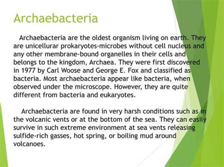 When were archaea discovered?