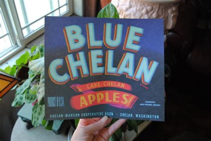 Where do chelan apples come from?