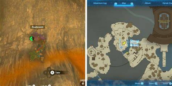 Where do I find Rushrooms?