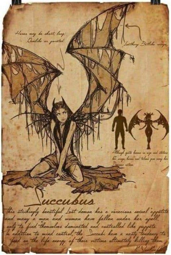 Where do succubus come from?