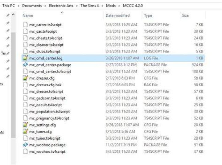 Where do ts4script files go?