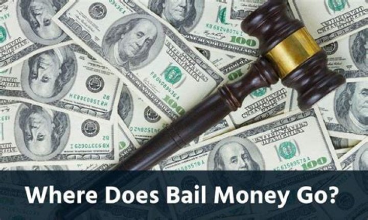 Where does forfeited bail money go?
