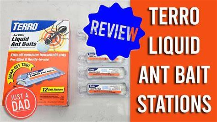Which ant baits work best?