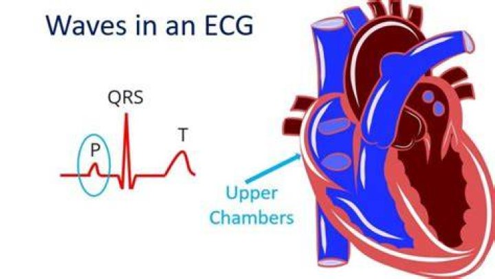 Which chambers are contracting during the p wave?