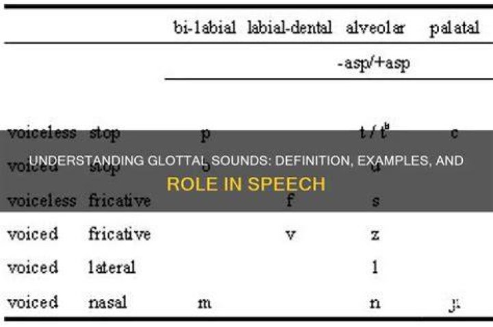 Which is a glottal sound?