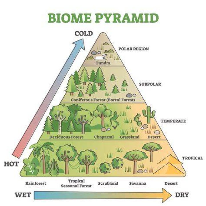 Who do biomes differ?