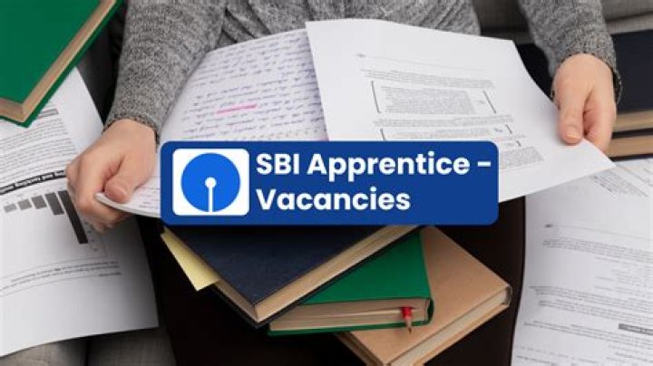 Who is sbi apprentice?